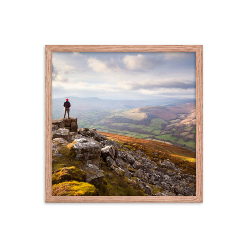 Serene Nature View Framed Poster